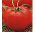 Semillas de tomate Linares Fit� Larga vida