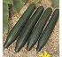 Semillas de Pepino Zapata Fit� 