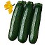 Semillas de Calabac�n verde Elena Fit� Elena