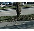 RootBarrier 