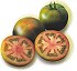 Semillas de tomate Syngenta Tyrade