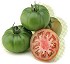 Semillas de tomate Syngenta Bubu