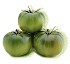 Semillas de tomate Syngenta Corvey