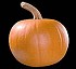 Calabaza Paintball F1 