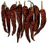 Semillas de Pimiento Benac Fit� 