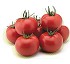 Semillas de tomate Syngenta Pilavy