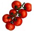 Semillas de tomate Sagar� Fit� ramo