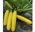 Calabac�n CZI-10052 F1 
