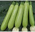 Calabac�n CZI-10054 F1 
