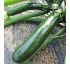 Calabac�n CZI-10049 F1 