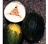 Mel�n piel de sapo 