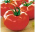 Semillas deTomate larga conservaci�n Pristyla HF1