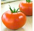 Semillas deTomate larga conservaci�n Octydia V421 HF1
