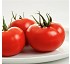 Semillas deTomate larga conservaci�n V462 HF1