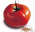 Semillas deTomate larga conservaci�n Sartylia HF1
