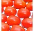 Semillas deTomate pera Myriade HF1