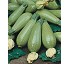 Calabac�n CZI-9801 F1
