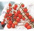 Semillas deTomate indeterminado Granillon F1 
