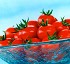 Semillas deTomate cherry Tastyno HF1