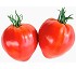 Semillas deTomate Cauralina HF1