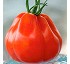 Semillas deTomate Borsalina HF1