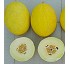 Mel�n amarillo Canario 