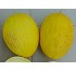 Mel�n amarillo Oro 