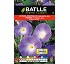 Ipomea Batlle Maravillas Azul