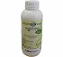 Insecticides