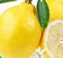 Limones Hortiberia Primifiori y Verna