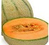 Melones Hortiberia Cantaloup