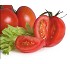 Semillas de Tomates Syngenta Jawara