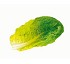 Lechuga romana Florette