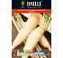 Semillas de r�banos Batlle Daikon