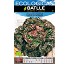 Semillas de lechuga Batlle Cuatro estaciones