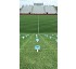 C�sped Intersemillas Festuca arundinacea Scheber