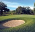 C�sped Intersemillas Poa pratensis L