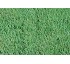C�sped Intersemillas Zoysia Japonica