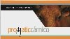 Trazabilidada para PYMES
