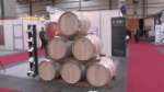 Enomaq, Olemaq, Tecnovid, Oleotec y Fruyverd 2011