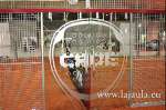 Pista de padel La Jaula - Patty Llaguno - CADE