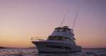 Riviera 50 Sports Motor Yacht Profile