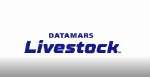 Datamars Livestock Vision