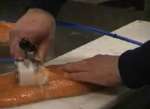 Desespinadora de pescado manual (Olesen):
