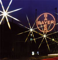 Bayer Cross