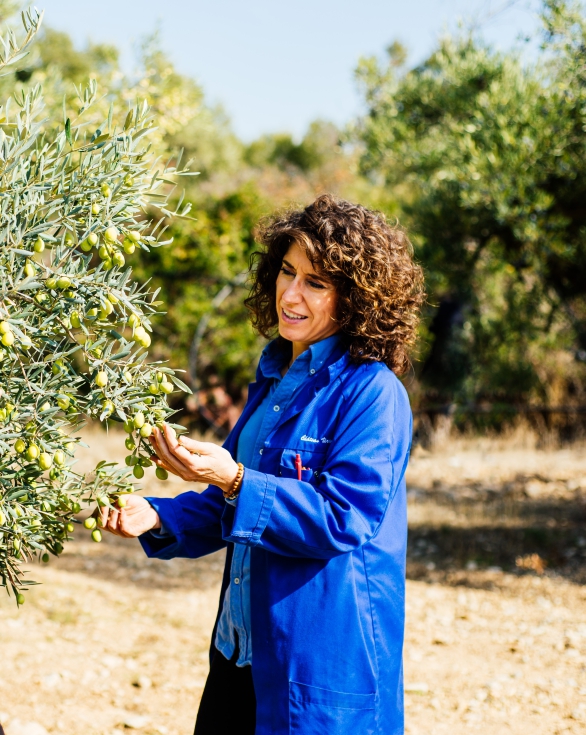 Foto de Chteau Virant: la excelencia hecha aceite de oliva
