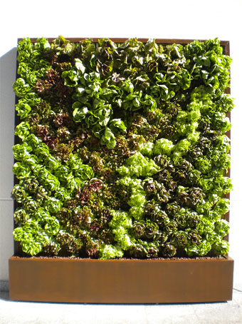 Foto de Jardines verticales modulares: nuevas tendencias en jardinera vertical