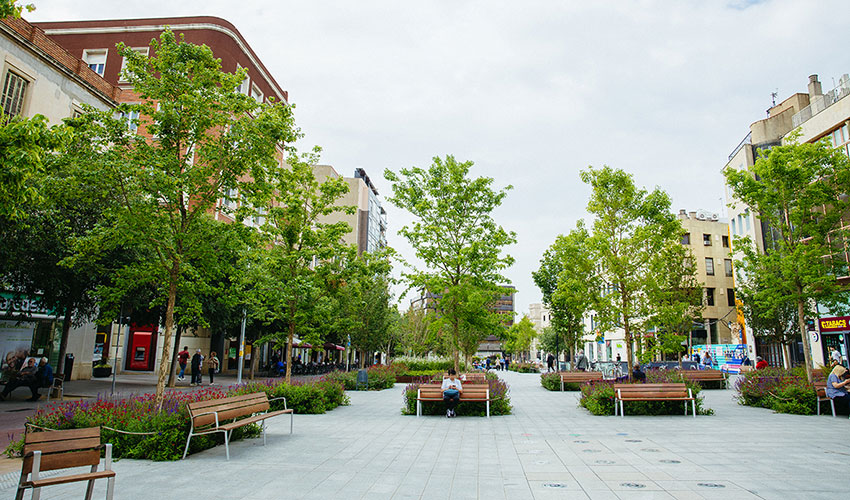 Foto de GreenBlue Urban desarrolla RootSpace para asegurar la salud de plantas y rboles en suelo urbano