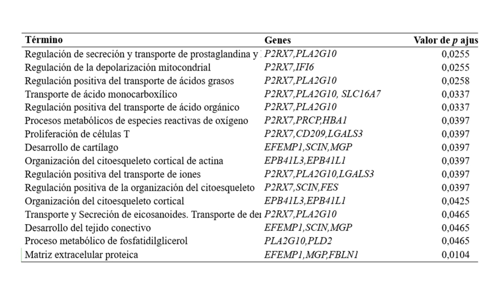 Expresi N Diferencial De Genes En Cerdo Ib Rico De Montanera