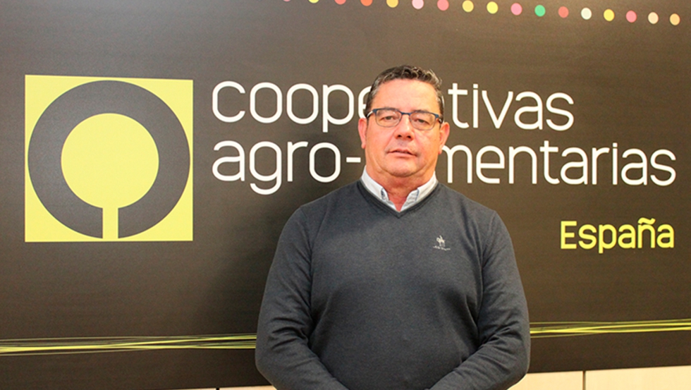 Foto de Gabriel Cabello reelegido presidente de Aceituna de Mesa de Cooperativas Agro-alimentarias de Espaa